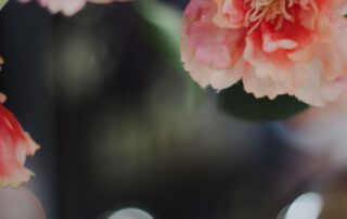 WhatsApp Image 2023-07-10 at 14.39.07 (1)